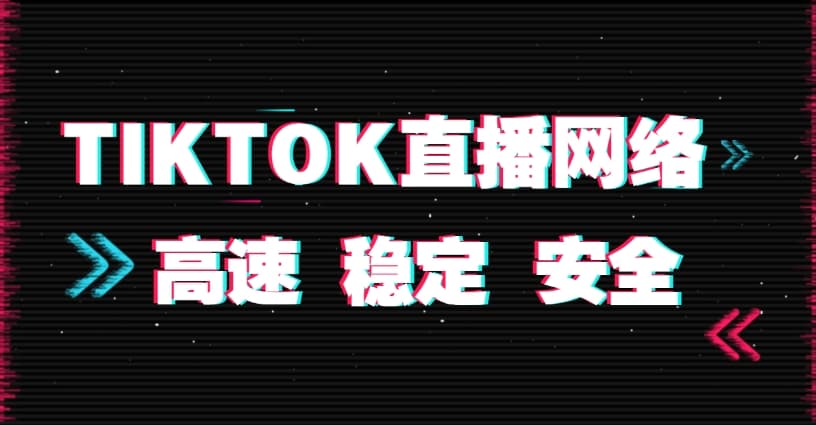 旺财狗用VPN上网